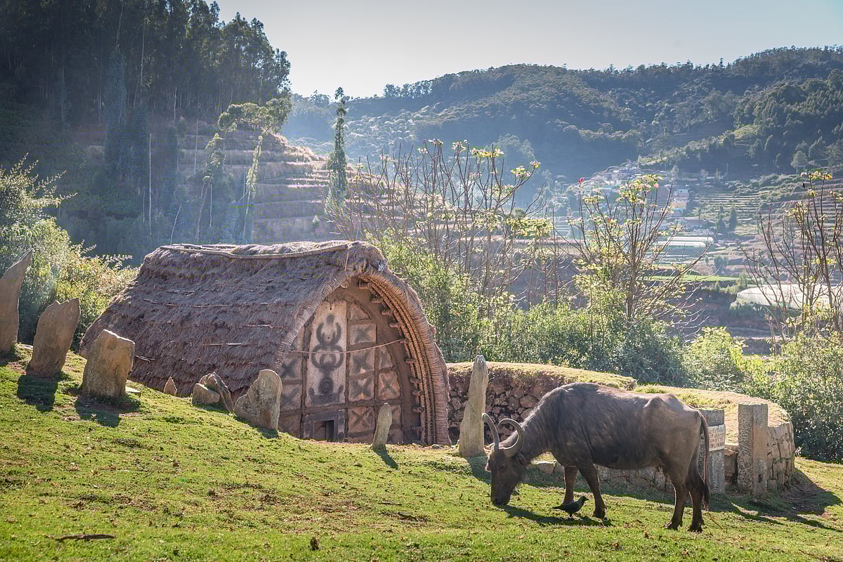 The Toda tribe has a temple with a thatched roof and carved entrance