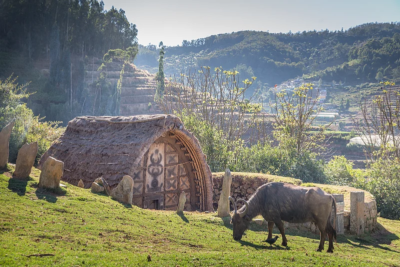 The Toda tribe has a temple with a thatched roof and carved entrance