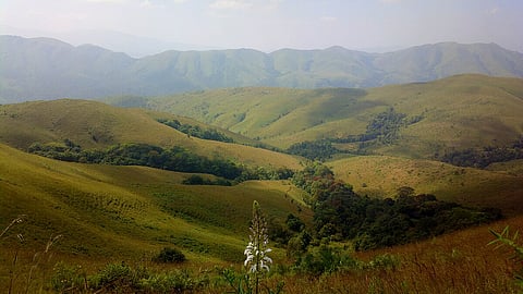 Undulating grasslands of Kyatanamakki