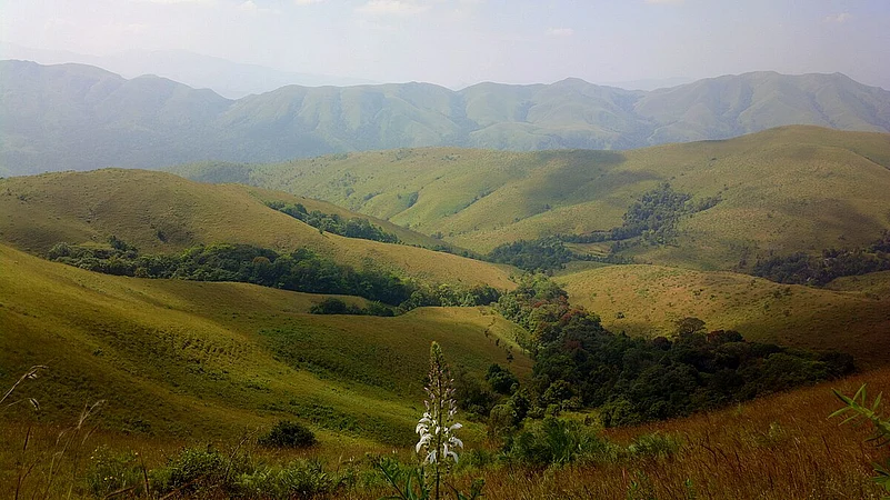 Undulating grasslands of Kyatanamakki