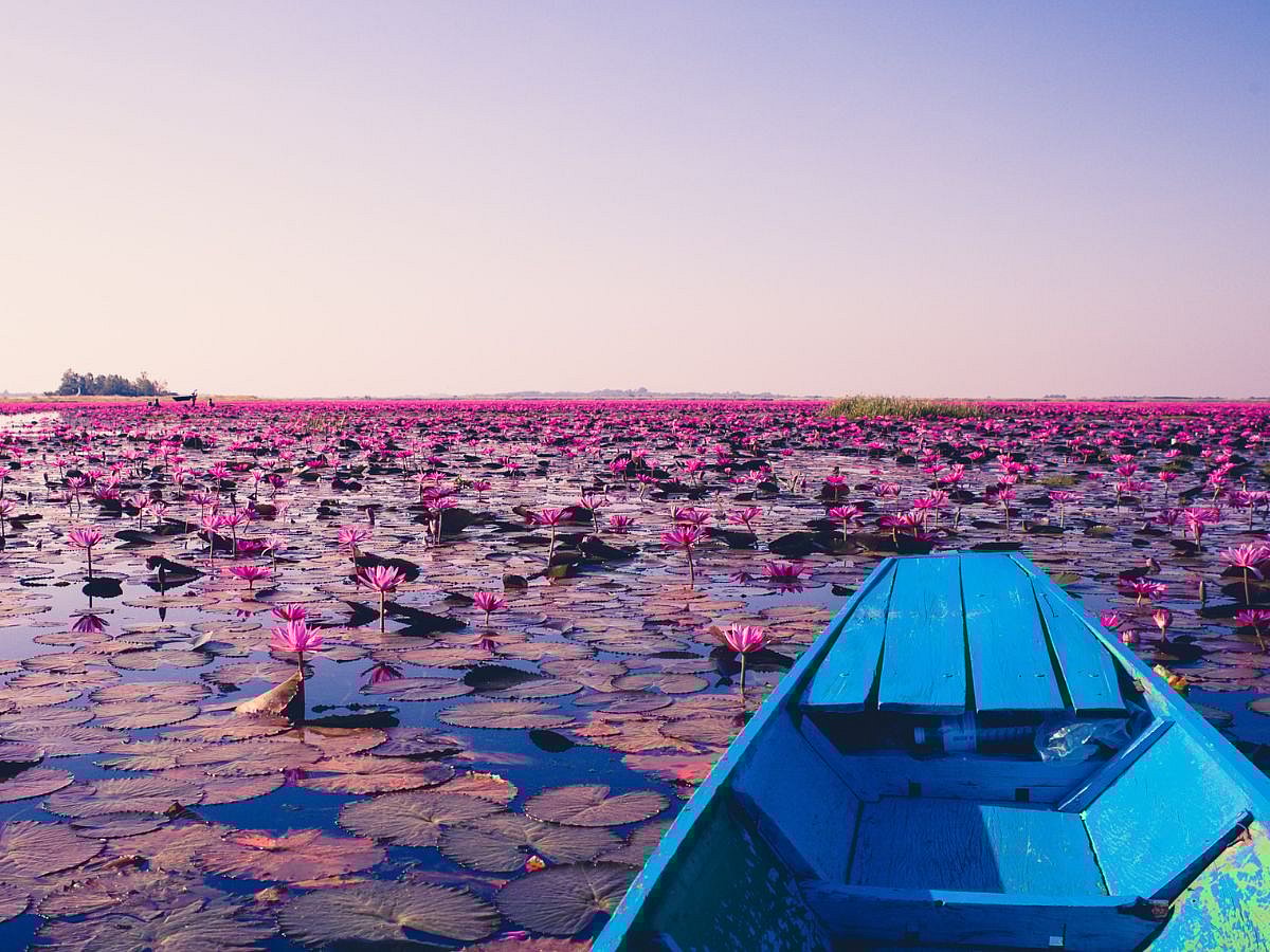 Georgios Kaleadis/Flickr : Take a boat ride across the Red Lotus Sea.