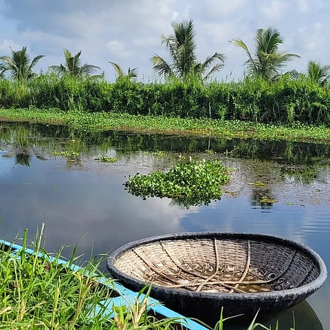 A view of Pullu environs