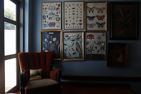 The interiors of The House by Ginger