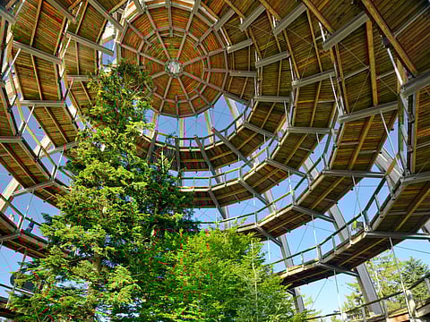 Baumwipfelpfad Bavarian Forest in Germany