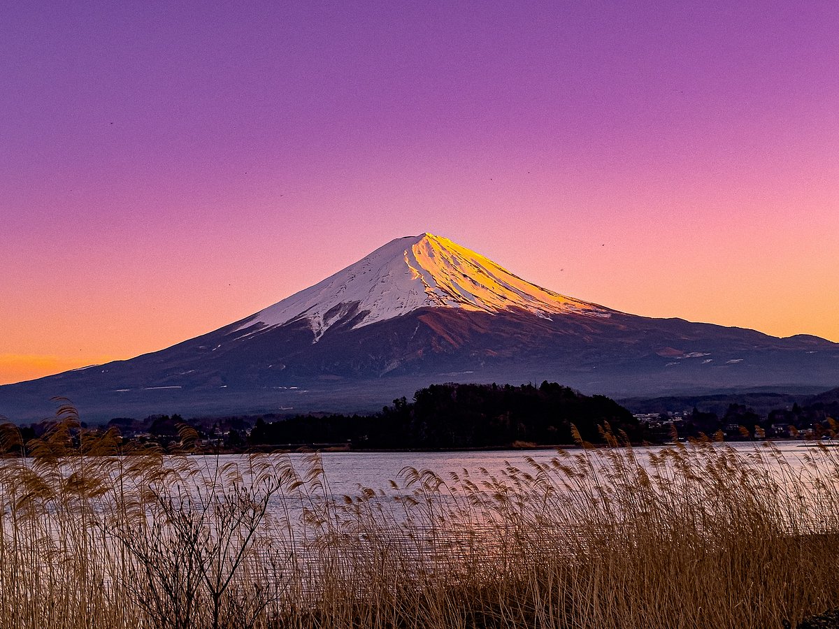Alona1995/Shutterstock : Mount Fuji is the highest mountain in Japan at 3,776 m