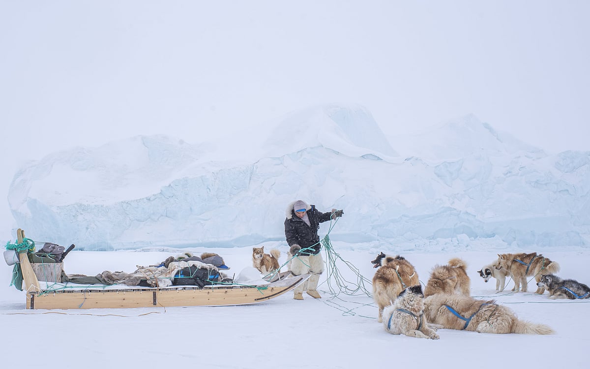 The “Greenlandic Flat Tyre” photo was awarded first place in the 2024 Dog Photography Awards documentary category