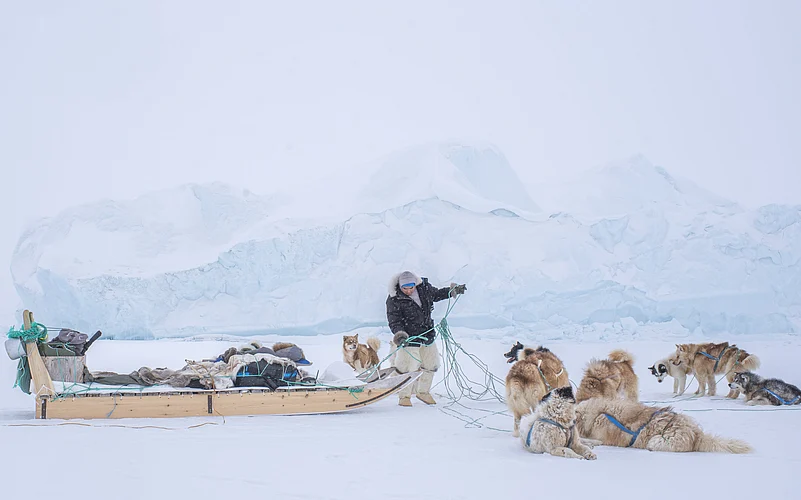 The “Greenlandic Flat Tyre” photo was awarded first place in the 2024 Dog Photography Awards documentary category
