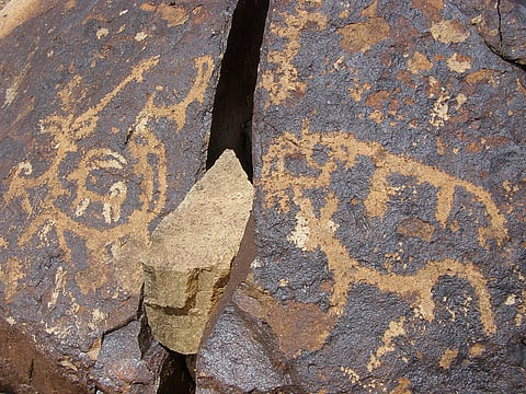 The rock artworks include a diverse array of images depicting various animals 