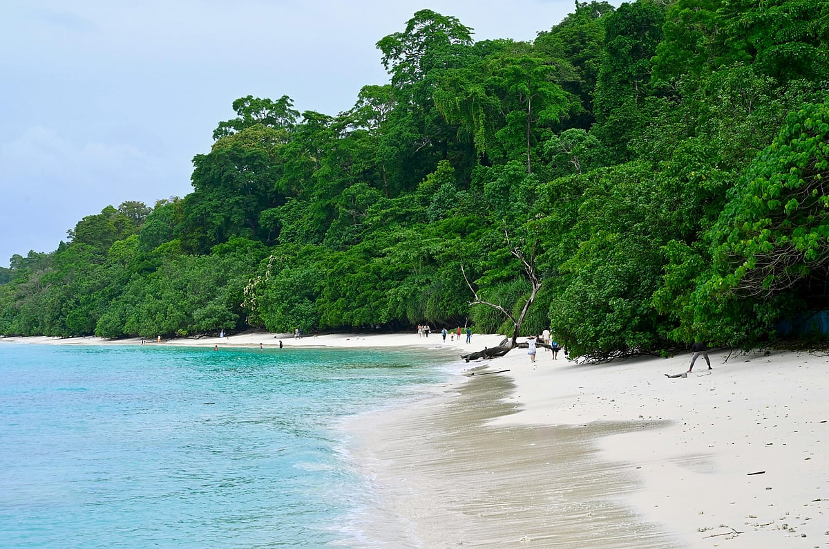 Jayanth Muppaneni/Pexels : Pristine Beach in Andaman and Nicobar Islands