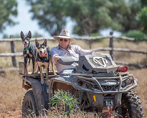 Australian cattle farmer, Stephen Lund, with his Kelpies. These working dogs are the most common and revered working dogs in the country