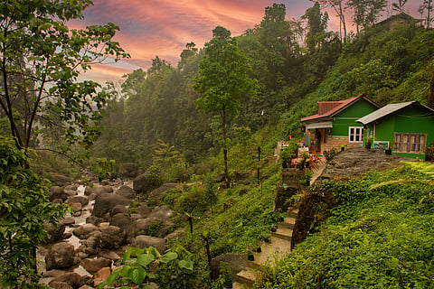 Homestays play an important role in sustainable tourism