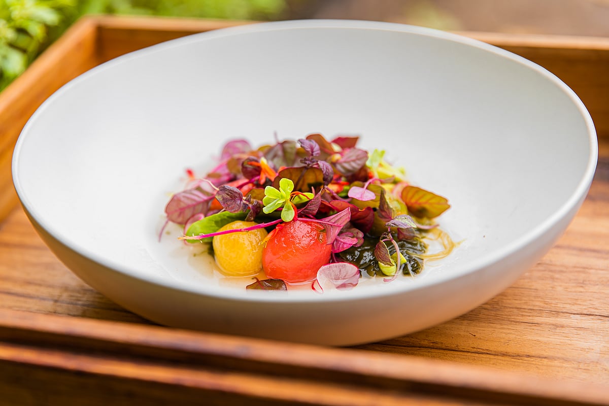 SONEVA : Shades of Green at Soneva Fushi invites diners on a colourful journey through the spectrum of plant-based cuisine