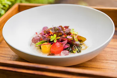 SONEVA : Shades of Green at Soneva Fushi invites diners on a colourful journey through the spectrum of plant-based cuisine