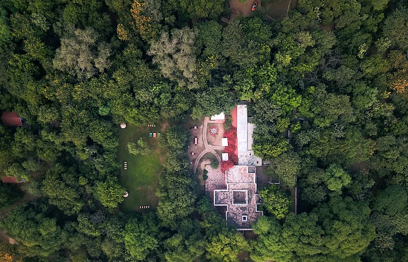 An aerial view of the Chambal Safari Lodge surrounded by a rewilded forest