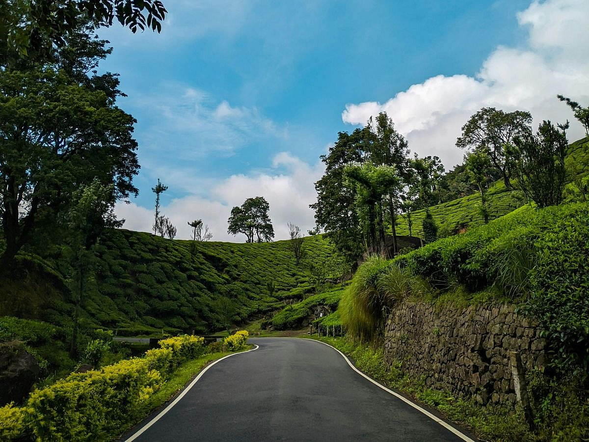 Bhagath J Prakash/Pexels : Munnar has clinched the green tag status for six of its tourist destinations