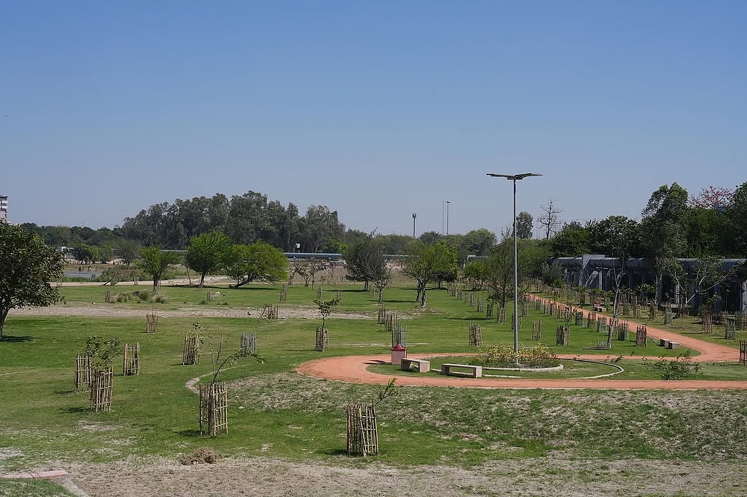 The Amrut Biodiversity Park along the NH-24 spans 90 hectares and features 14,500 trees, 18,000 shrubs, and 3.21 lakh riverine grasses