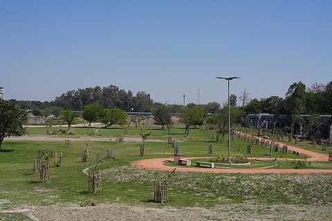 The Amrut Biodiversity Park along the NH-24 spans 90 hectares and features 14,500 trees, 18,000 shrubs, and 3.21 lakh riverine grasses