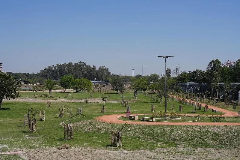 The Amrut Biodiversity Park along the NH-24 spans 90 hectares and features 14,500 trees, 18,000 shrubs, and 3.21 lakh riverine grasses