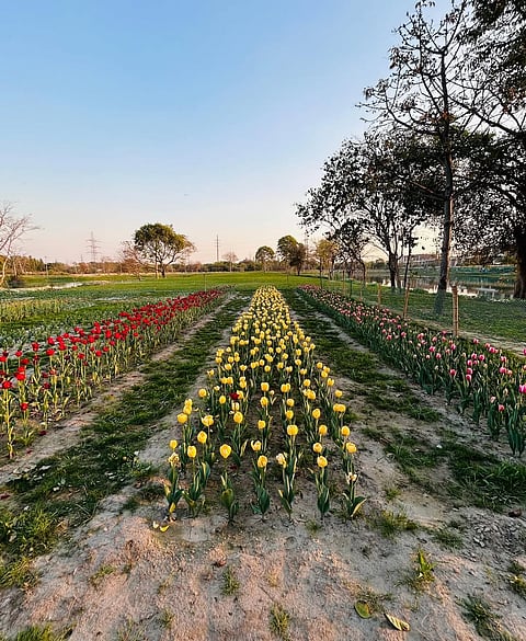 Baansera Park in Sarai Kale Khan is part of the DDA's efforts to increase green spaces in the Indian capital