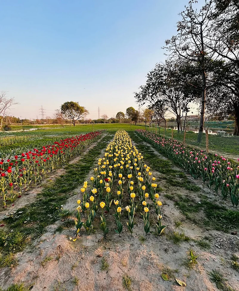 Baansera Park in Sarai Kale Khan is part of the DDAs efforts to increase green spaces in the Indian capital