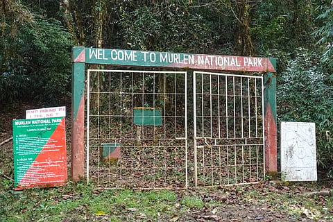 At the Murlen National Park