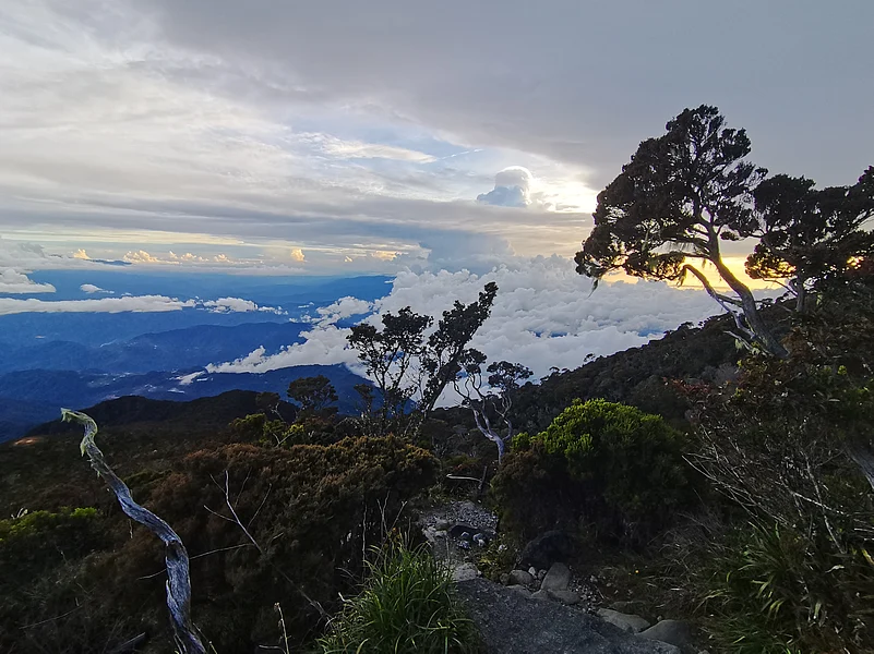 At the Kinabalu Park