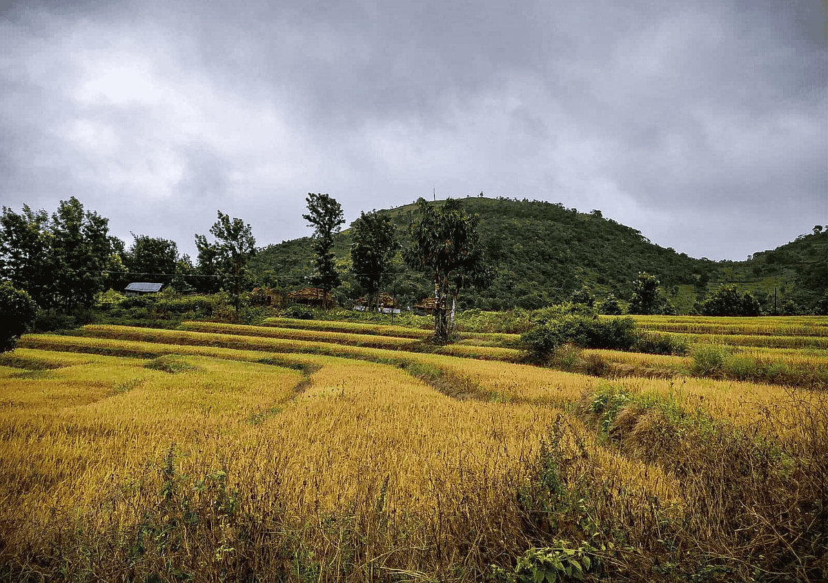 Deeksha Sharma : Lambasingi is known as the Kashmir of Andhra Pradesh