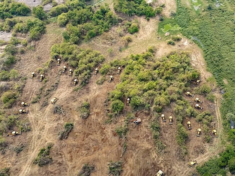Bulldozers and earthmovers razing the Kancha Gachibowli forest