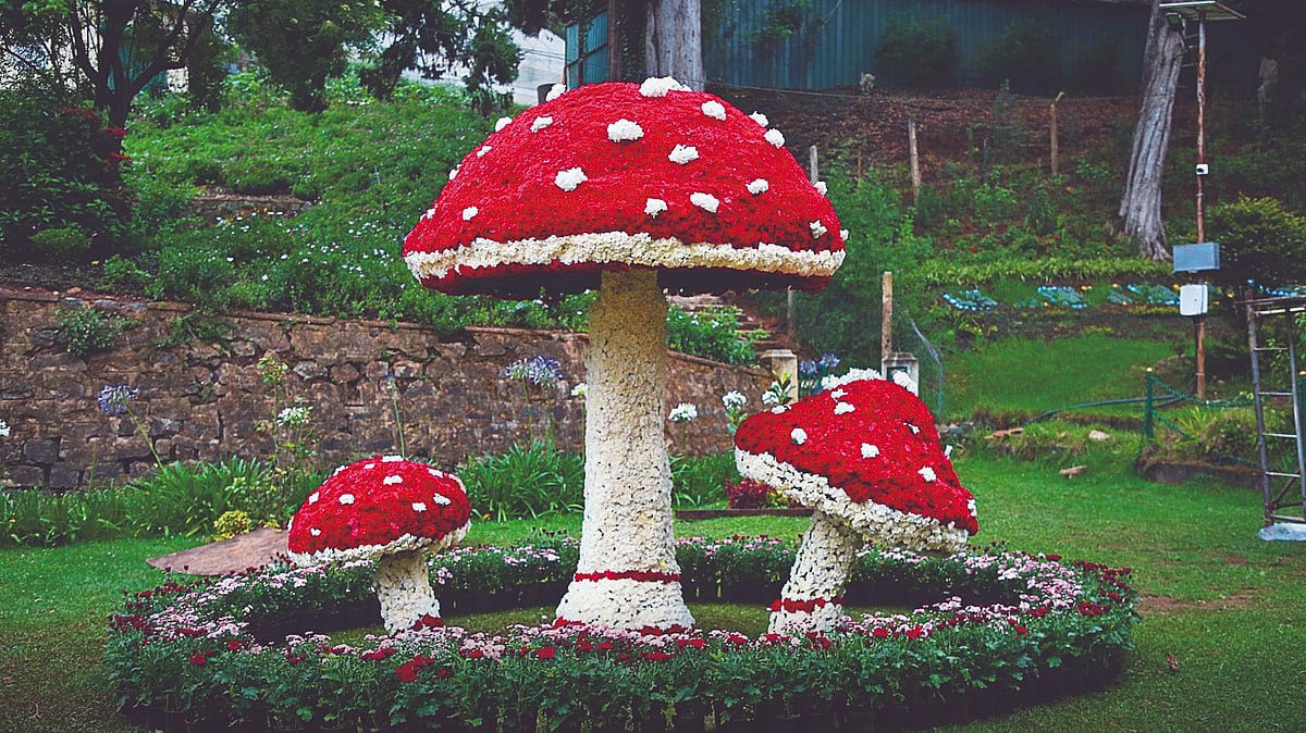 Tamil Nadu is home to several summer festivals - TTDC