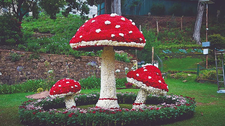 Tamil Nadu is home to several summer festivals - TTDC