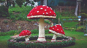 TTDC : Tamil Nadu is home to several summer festivals