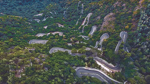 Yercaud offers breathtaking views and endless opportunities for exploration