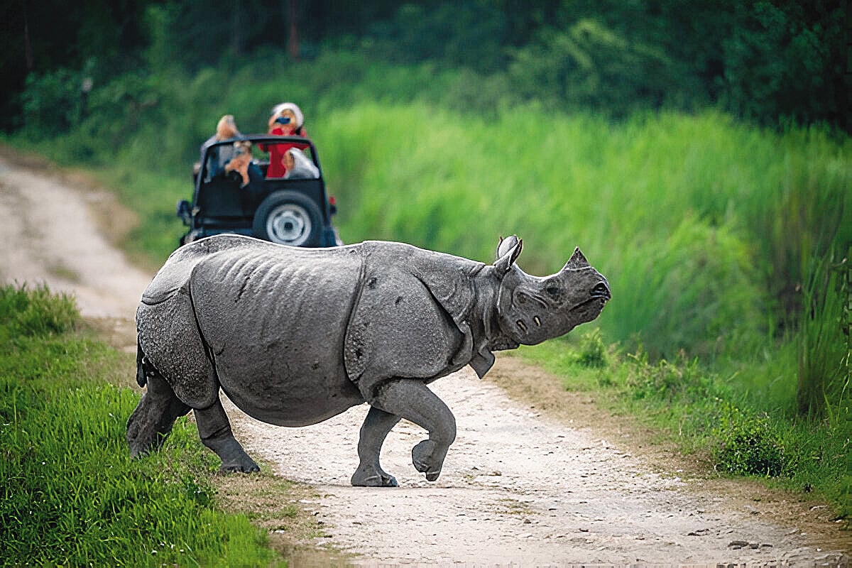 Winter months bring migratory birds and atmospheric early morning safaris.