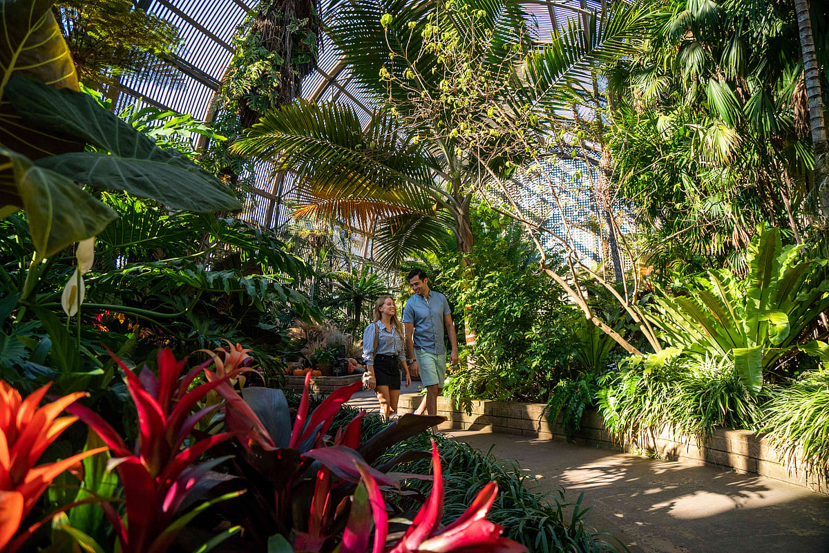 Visit San Diego in the fall to enjoy plenty of attractions for children and families.