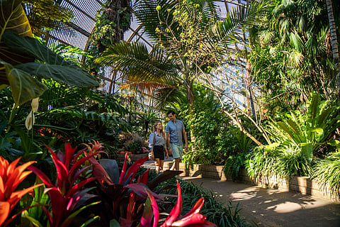 Visit San Diego in the fall to enjoy plenty of attractions for children and families.