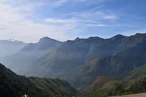 Wikimedia Commons : Silent Valley National Park is home to the largest population of lion-tailed macaques