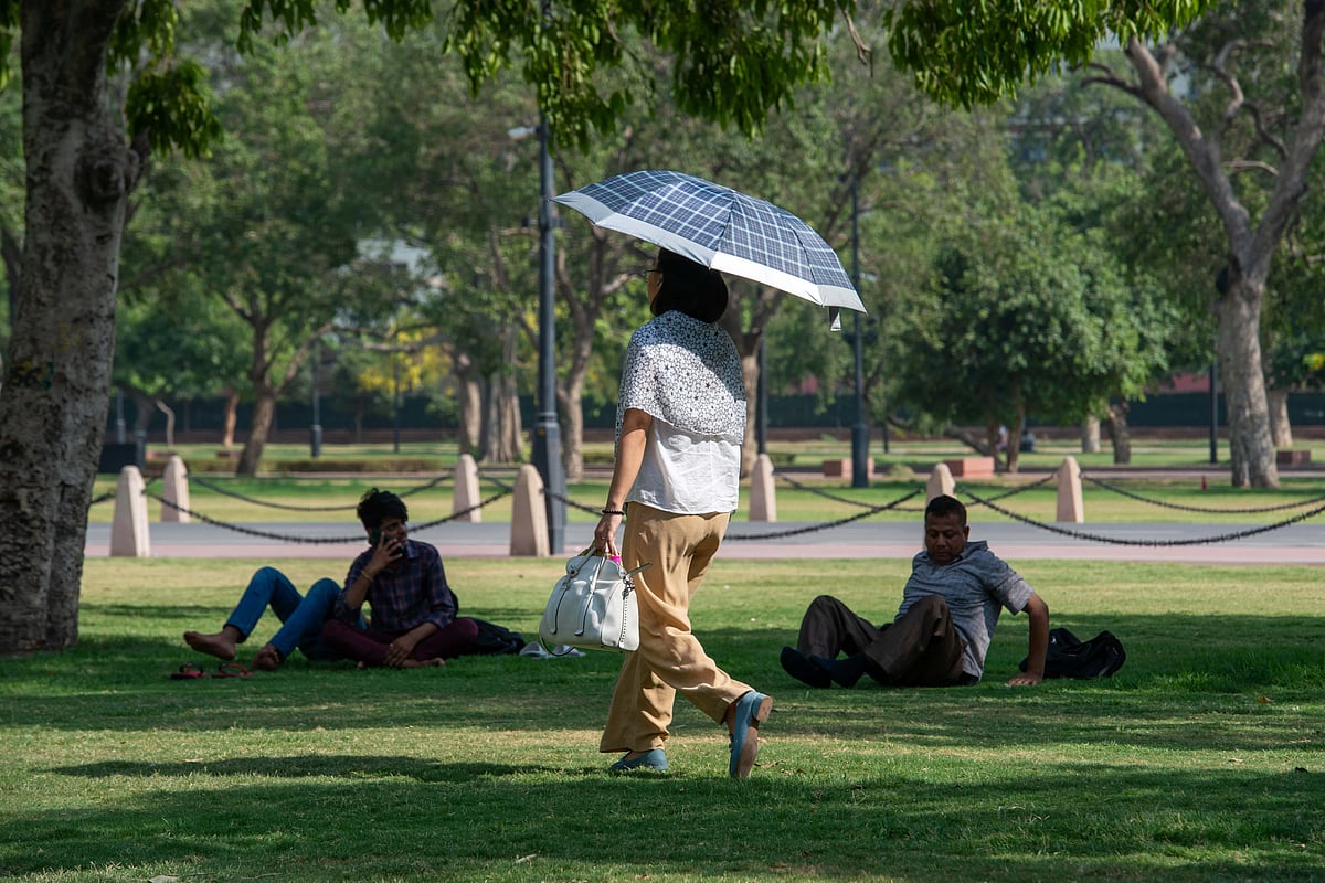 If youre planning a day in the park, find some shady sections for your picnic