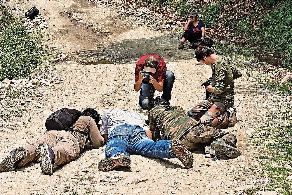 Sanjay Sondhi : Visitors capturing butterflies, damselflies, and wildflowers on camera at the Devalsari Titli Utsav