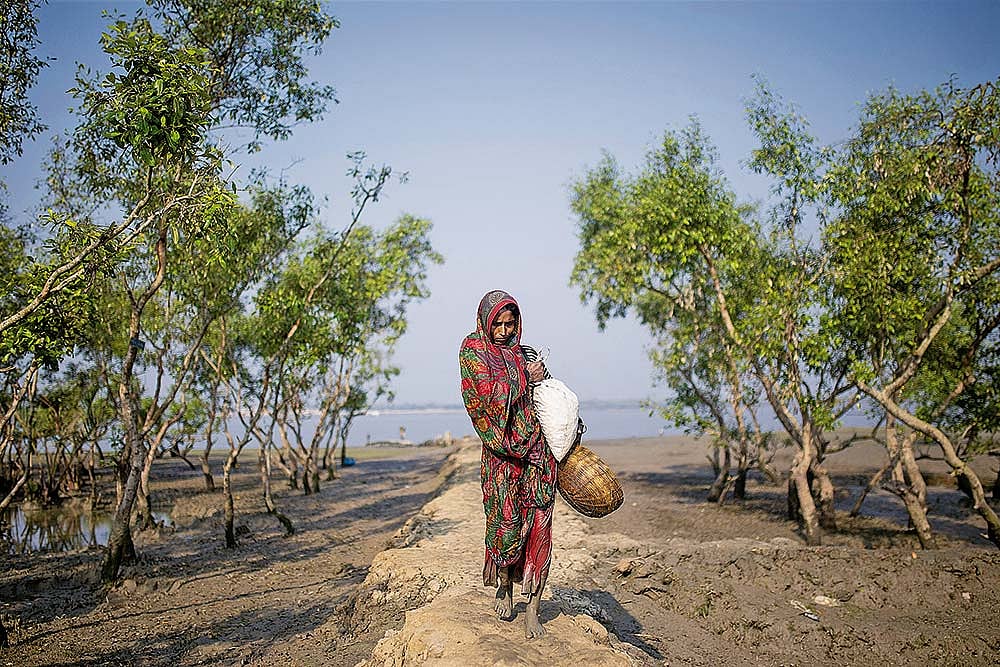 A woman navigating the mudflats