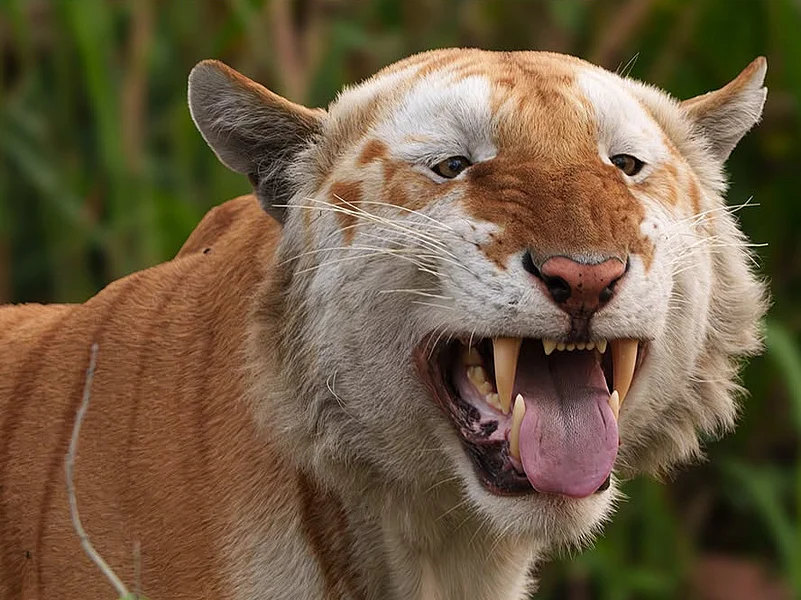 sudhirshivaram/Instagram