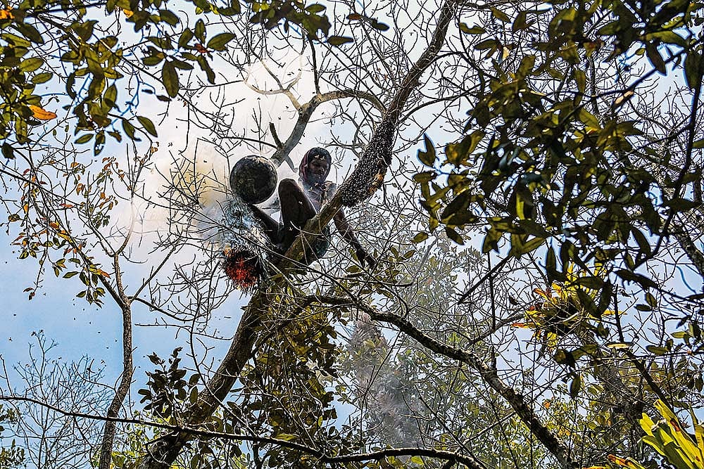 A honey collector in the Sundarbans