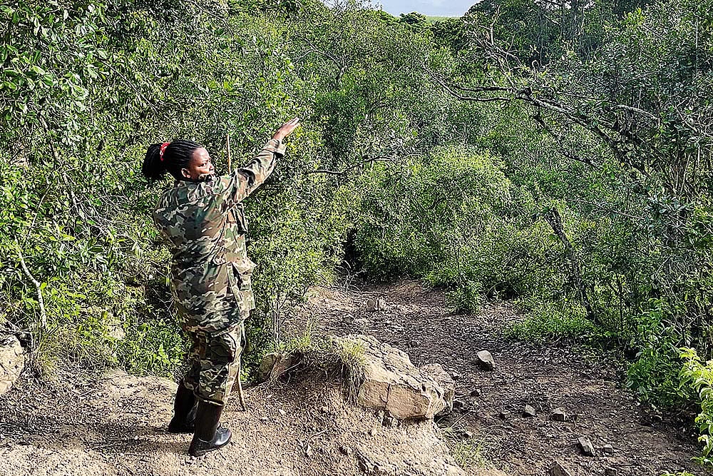 Judith Nyamihanda, a ranger-guide, has been conducting chimpanzee hikes for 24 years