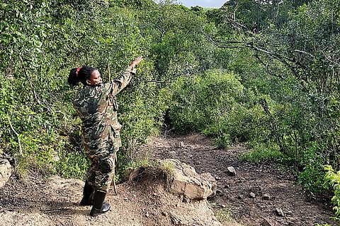 Judith Nyamihanda, a ranger-guide, has been conducting chimpanzee hikes for 24 years