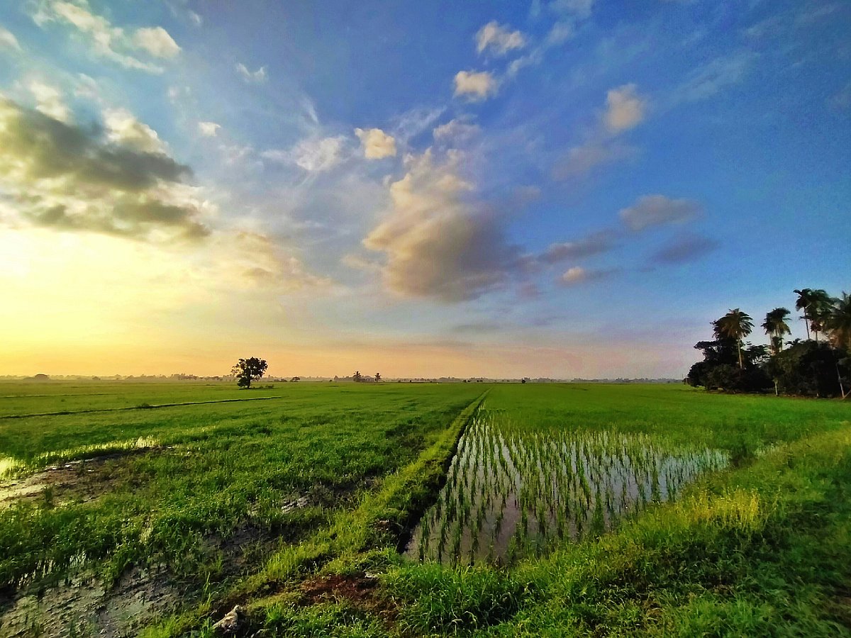 Kangar is the capital of Malaysia’s smallest state, Perlis.