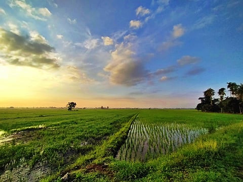 Kangar is the capital of Malaysia’s smallest state, Perlis.
