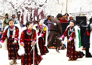 utladakhtourism/Instagram : Vibrant performances at Skurbuchan village for the Apricot Blossom Festival