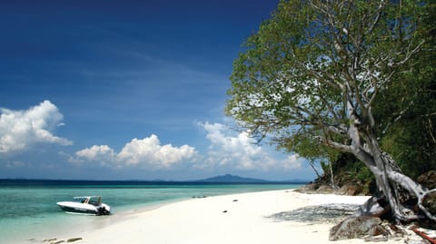 The resort offers various activities, including sea excursion