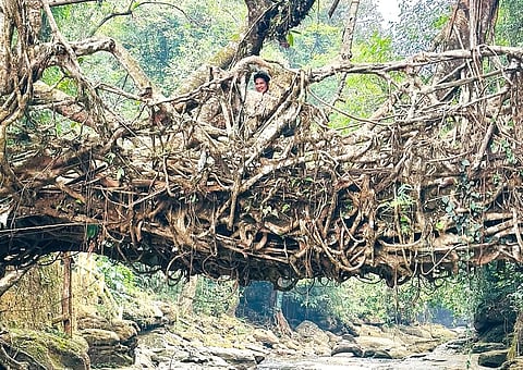 Cricket legend Sachin Tendulkar at the famous root bridges in Mawlynnong