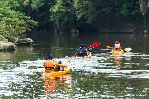 The Sarawak River is the perfect place for a kayaking adventure