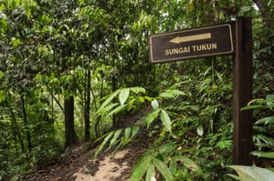 imagex/Shutterstock : A signpost marks the way in Penang National Park, Malaysia